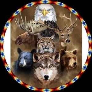 Meet your Posher, Marian